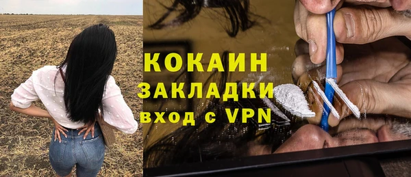 гашик Белоозёрский