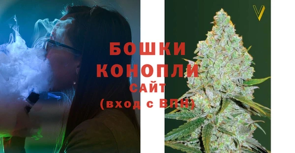 гашик Белоозёрский