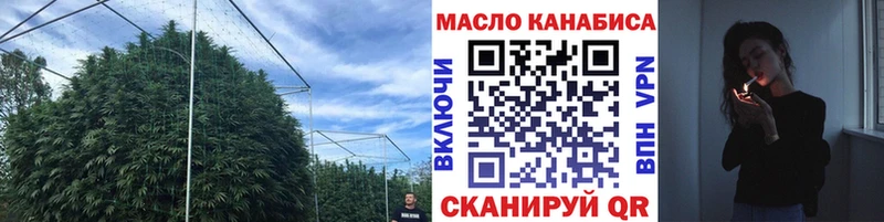 Дистиллят ТГК THC oil  что такое   Салаир 